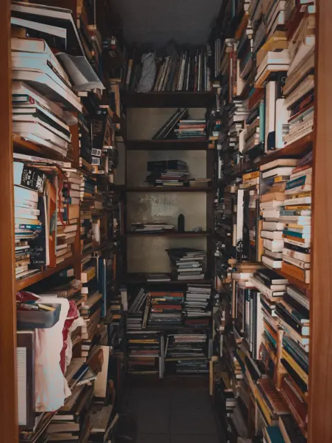 Stacks of books on library bookshelves